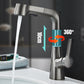 1 Hole Bathroom Faucet with Pull out Sprayer